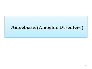27
Amoebiasis (Amoebic Dysentery)
 
