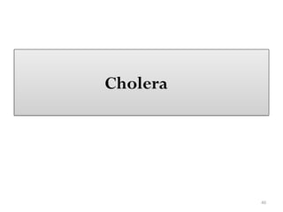 40
Cholera
 