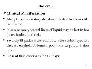 44
Cholera…
Clinical Manifestation
• Abrupt painless watery diarrhea; the diarrhea looks like
rice water.
• In severe cases, several liters of liquid may be lost in few
hours leading to shock.
• Severely ill patients are cyanotic, have sunken eyes and
cheeks, scaphoid abdomen, poor skin turgor, and slow
pulse.
• Loss of fluid continues for 1-7 days.
 