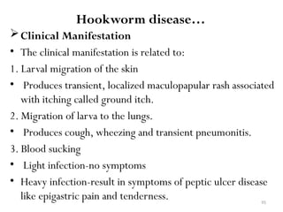 95
Hookworm disease…
Clinical Manifestation
• The clinical manifestation is related to:
1. Larval migration of the skin
• Produces transient, localized maculopapular rash associated
with itching called ground itch.
2. Migration of larva to the lungs.
• Produces cough, wheezing and transient pneumonitis.
3. Blood sucking
• Light infection-no symptoms
• Heavy infection-result in symptoms of peptic ulcer disease
like epigastric pain and tenderness.
 