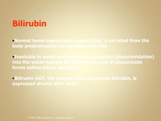 Bilirubin  Normal heme degradation product that is excreted from the body predominately via secretion into bile.  Insoluble in water and requires conjugation (glucuronidation) into the water-soluble bilirubin mono- and di-glucuronide forms before biliary secretion Bilirubin-UGT, the enzyme that conjugates bilirubin, is expressed shortly after birth.  