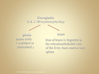 Hemoglobin (1-2 X 10 8 eryhtrocytes /hr) globin  heme Iron of heme is degraded in the reticuloendothelial cells of the liver, bone marrow and spleen  amino acids ( reutilized or catabolized ) 