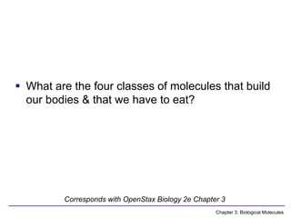 Comprehensive Overview of Biological Molecules and Their Functions in ...