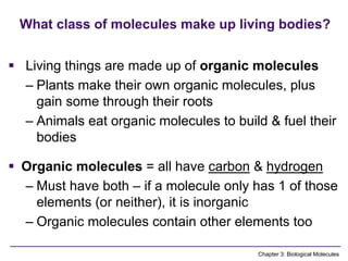Comprehensive Overview of Biological Molecules and Their Functions in ...