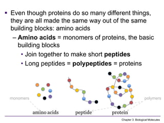 Comprehensive Overview of Biological Molecules and Their Functions in ...