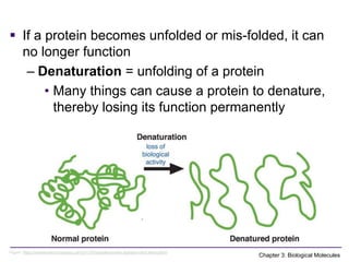 Comprehensive Overview of Biological Molecules and Their Functions in ...