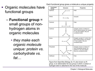 Comprehensive Overview of Biological Molecules and Their Functions in ...