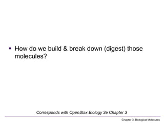 Comprehensive Overview of Biological Molecules and Their Functions in ...