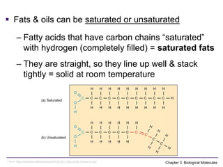 Comprehensive Overview of Biological Molecules and Their Functions in ...