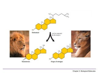 Comprehensive Overview of Biological Molecules and Their Functions in ...