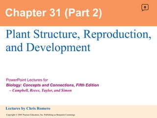 Chapter 31 (Part 2) Plant Structure, Reproduction, and Development 0 