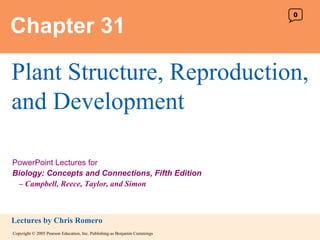 Chapter 31 Plant Structure, Reproduction, and Development 0 