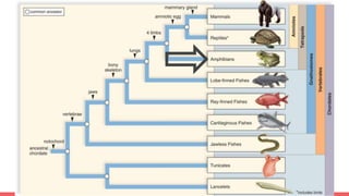 Tree and When Things Evolved!!!
 