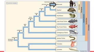 Tree and When Things Evolved!!!
 