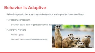 Behavior Is Adaptive
Behaviors persist because they make survival and reproduction more likely
Hereditary component
Behaviors passed down by genetics or culture (learning) or both
Nature vs. Nurture
Nature = genes
Nurture = environmental influences/learning
 