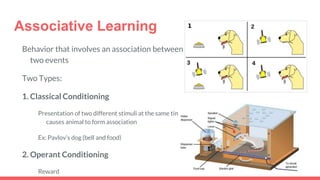 Associative Learning
Behavior that involves an association between
two events
Two Types:
1. Classical Conditioning
Presentation of two different stimuli at the same time
causes animal to form association
Ex: Pavlov’s dog (bell and food)
2. Operant Conditioning
Reward
 