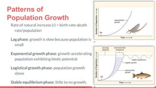 Patterns of
Population Growth
Rate of natural increase (r) = birth rate-death
rate/population
Lag phase: growth is slow because population is
small
Exponential growth phase: growth accelerating,
population exhibiting biotic potential
Logistical growth phase: population growth
slows
Stable equilibrium phase: little to no growth,
 