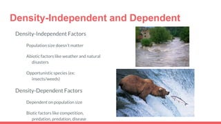 Density-Independent and Dependent
Density-Independent Factors
Population size doesn’t matter
Abiotic factors like weather and natural
disasters
Opportunistic species (ex:
insects/weeds)
Density-Dependent Factors
Dependent on population size
Biotic factors like competition,
predation, predation, disease
 