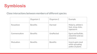 Symbiosis
Close interactions between members of different species
Organism 1 Organism 2 Example
Parasitism Benefits Harmed Malaria, athlete’s
foot, strep, ticks,
tapeworm
Commensalism Benefits Unaffected Egret and buffalo,
clownfish and sea
anemone
Mutualism Benefits Benefits Insects gain meal
while spreading
pollen of plants
 
