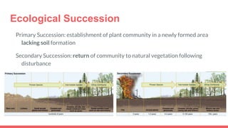 Ecological Succession
Primary Succession: establishment of plant community in a newly formed area
lacking soil formation
Secondary Succession: return of community to natural vegetation following
disturbance
Pioneer species
 