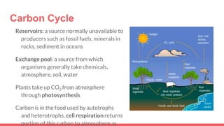 Carbon Cycle
Reservoirs: a source normally unavailable to
producers such as fossil fuels, minerals in
rocks, sediment in oceans
Exchange pool: a source from which
organisms generally take chemicals,
atmosphere, soil, water
Plants take up CO2 from atmosphere
through photosynthesis
Carbon is in the food used by autotrophs
and heterotrophs, cell respiration returns
portion of this carbon to atmosphere as
 