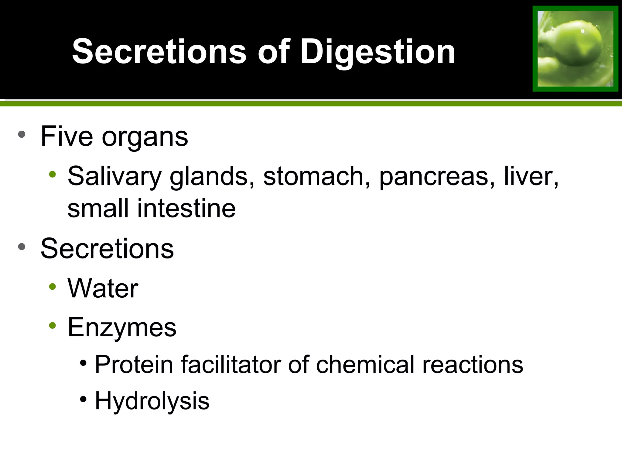 Secretions of DigestionSecretions of Digestion
• Five organs
• Salivary glands, stomach, pancreas, liver,
small intestine
• Secretions
• Water
• Enzymes
• Protein facilitator of chemical reactions
• Hydrolysis
 