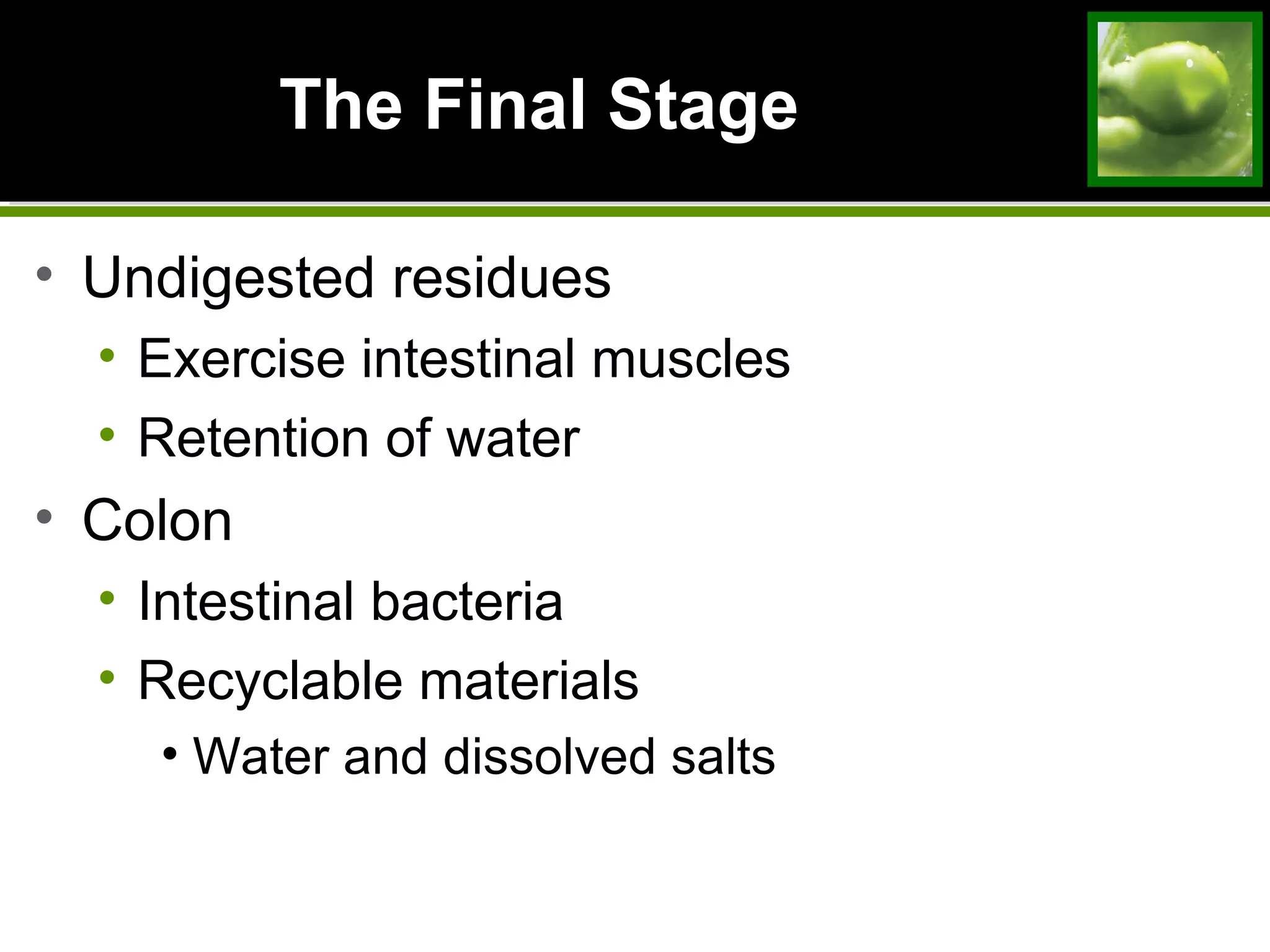 The Final StageThe Final Stage
• Undigested residues
• Exercise intestinal muscles
• Retention of water
• Colon
• Intestinal bacteria
• Recyclable materials
• Water and dissolved salts
 