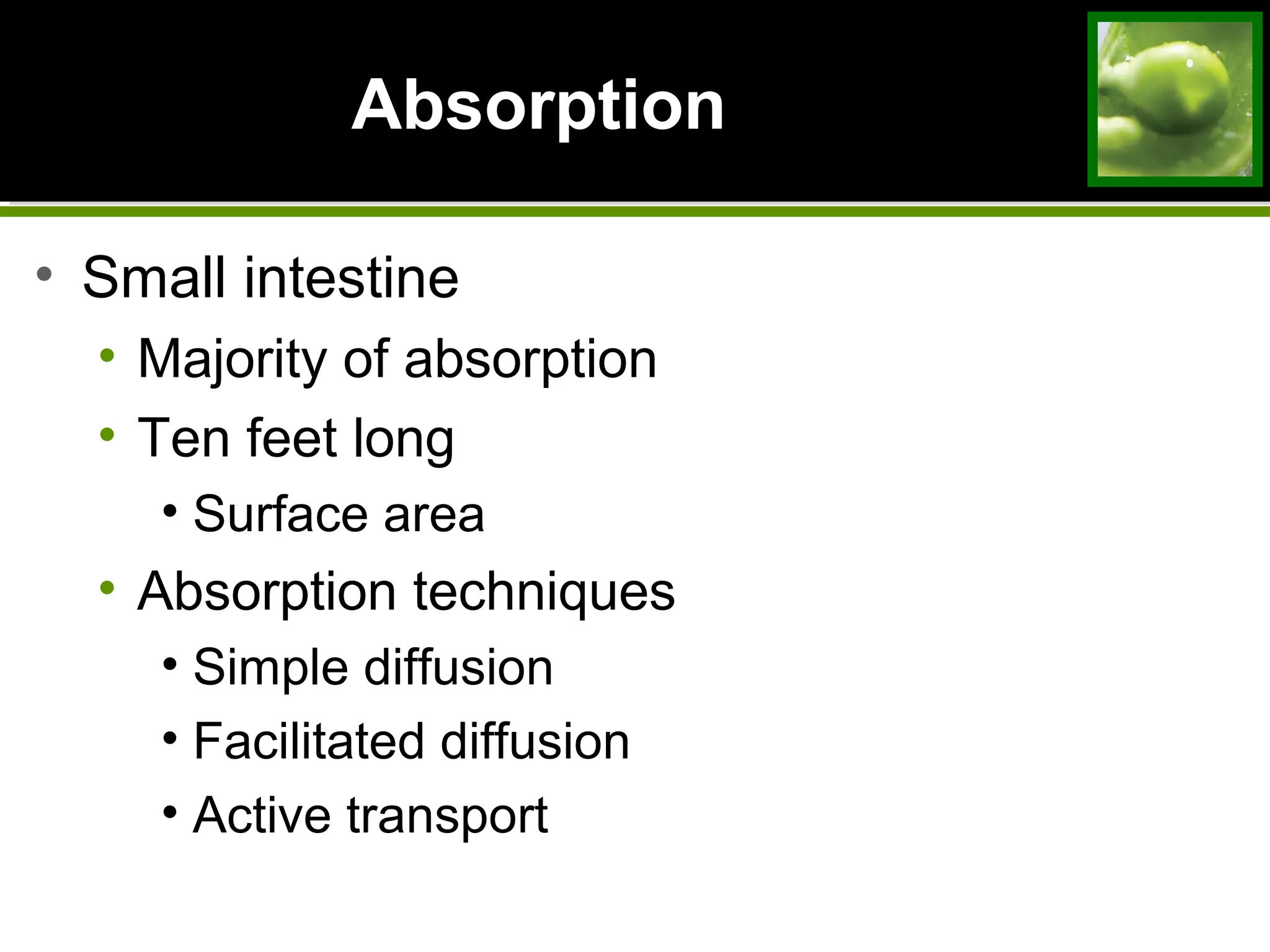 AbsorptionAbsorption
• Small intestine
• Majority of absorption
• Ten feet long
• Surface area
• Absorption techniques
• Simple diffusion
• Facilitated diffusion
• Active transport
 