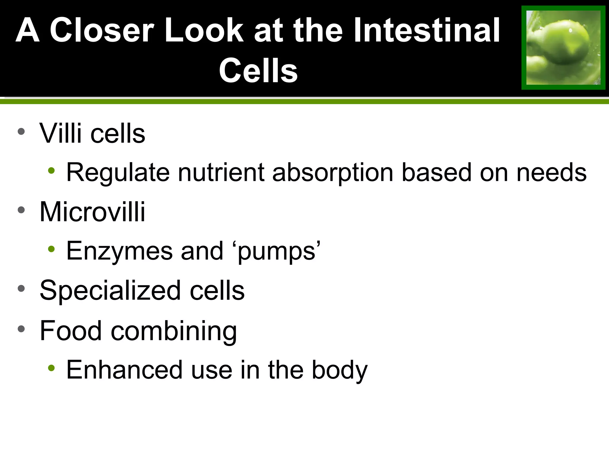 A Closer Look at the IntestinalA Closer Look at the Intestinal
CellsCells
• Villi cells
• Regulate nutrient absorption based on needs
• Microvilli
• Enzymes and ‘pumps’
• Specialized cells
• Food combining
• Enhanced use in the body
 