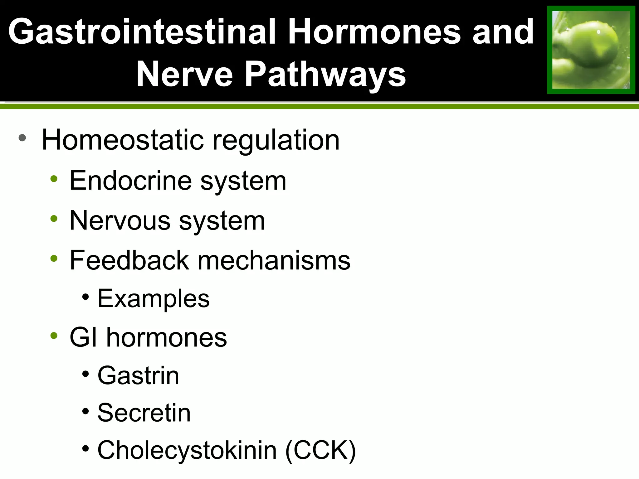 Gastrointestinal Hormones andGastrointestinal Hormones and
Nerve PathwaysNerve Pathways
• Homeostatic regulation
• Endocrine system
• Nervous system
• Feedback mechanisms
• Examples
• GI hormones
• Gastrin
• Secretin
• Cholecystokinin (CCK)
 
