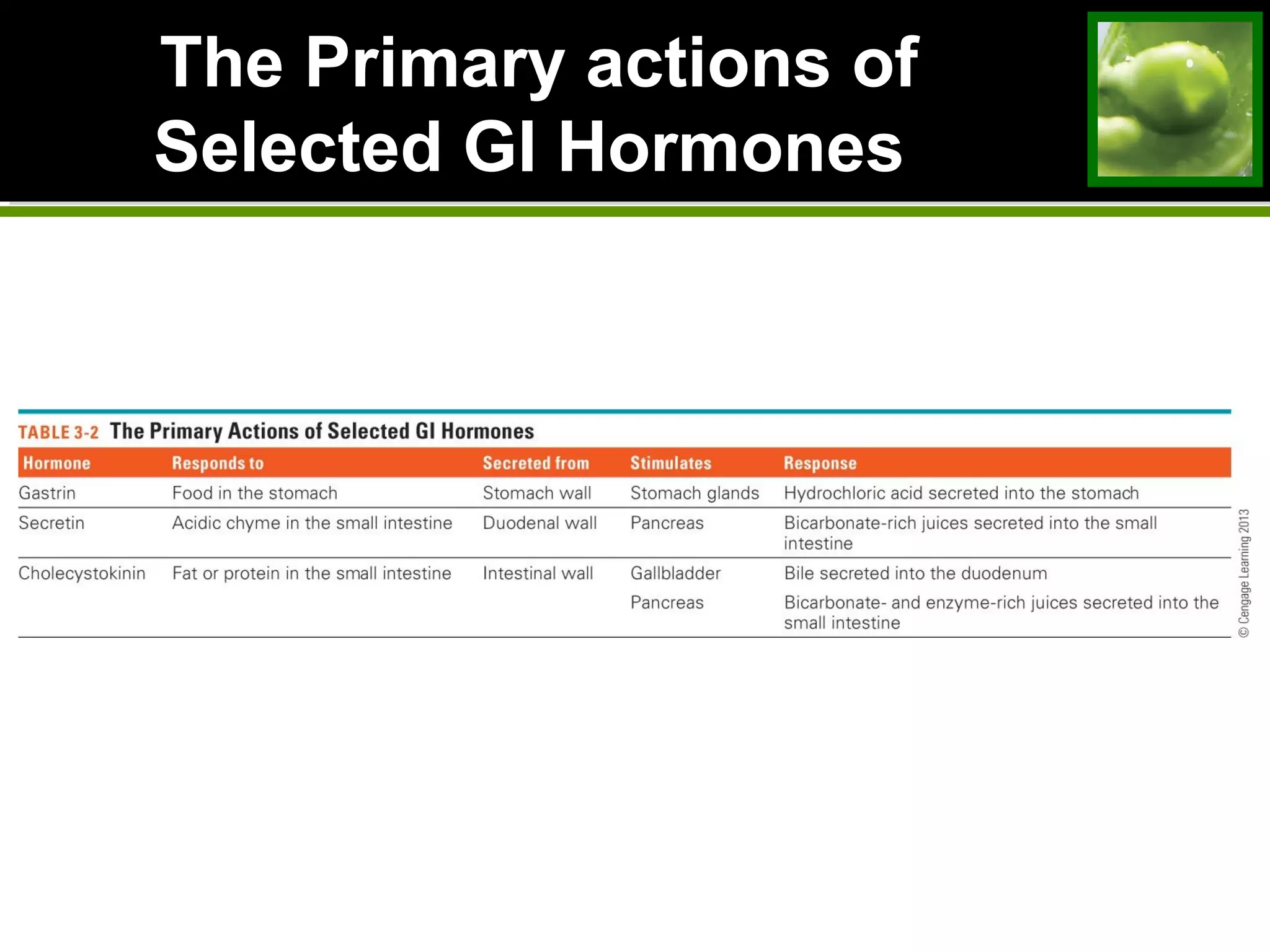 The Primary actions ofThe Primary actions of
Selected GI HormonesSelected GI Hormones
 