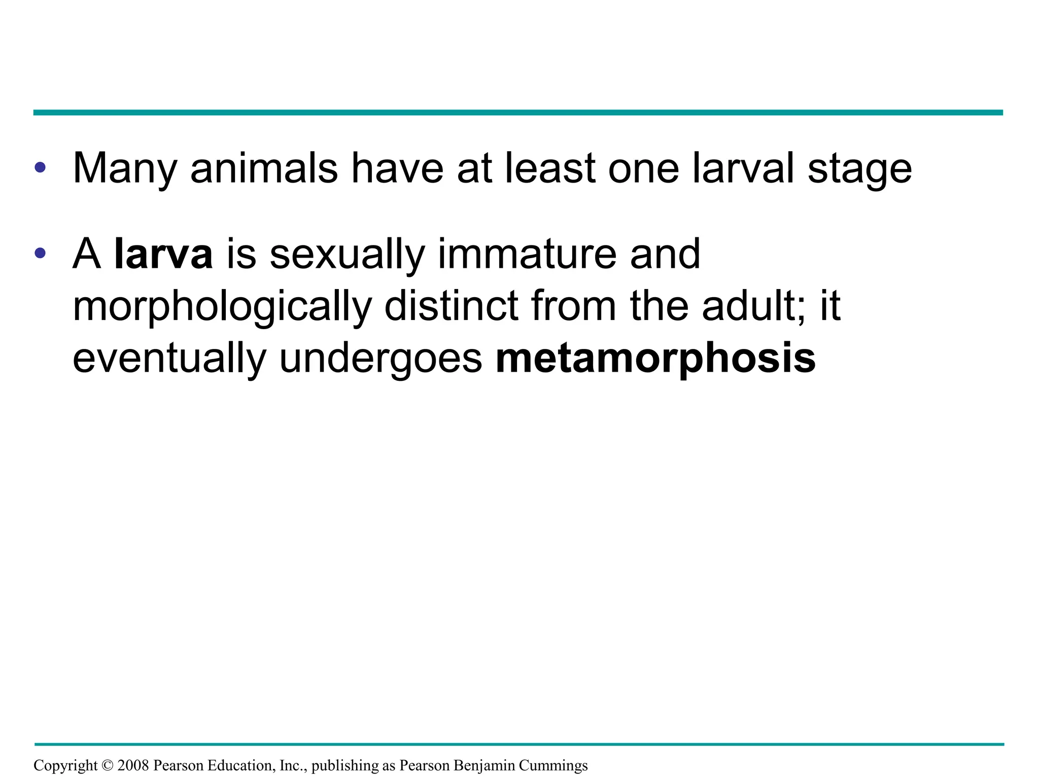 Copyright © 2008 Pearson Education, Inc., publishing as Pearson Benjamin Cummings
• Many animals have at least one larval stage
• A larva is sexually immature and
morphologically distinct from the adult; it
eventually undergoes metamorphosis
 