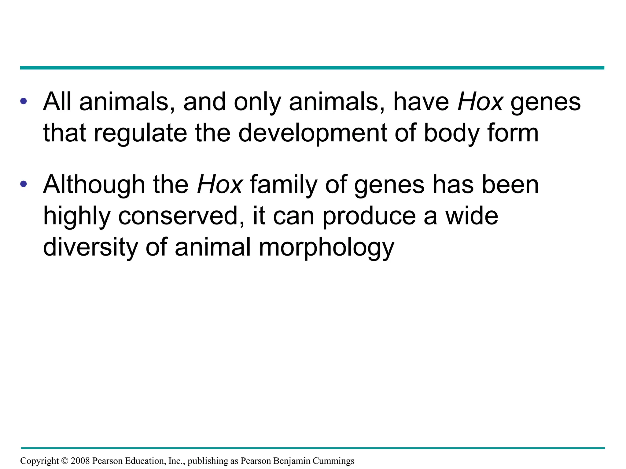 Copyright © 2008 Pearson Education, Inc., publishing as Pearson Benjamin Cummings
• All animals, and only animals, have Hox genes
that regulate the development of body form
• Although the Hox family of genes has been
highly conserved, it can produce a wide
diversity of animal morphology
 