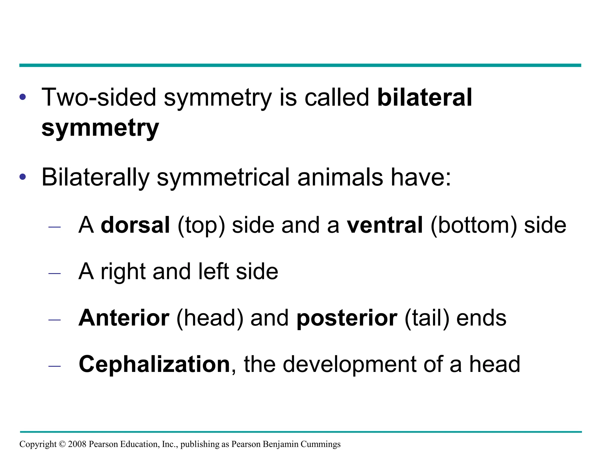 Copyright © 2008 Pearson Education, Inc., publishing as Pearson Benjamin Cummings
• Two-sided symmetry is called bilateral
symmetry
• Bilaterally symmetrical animals have:
– A dorsal (top) side and a ventral (bottom) side
– A right and left side
– Anterior (head) and posterior (tail) ends
– Cephalization, the development of a head
 
