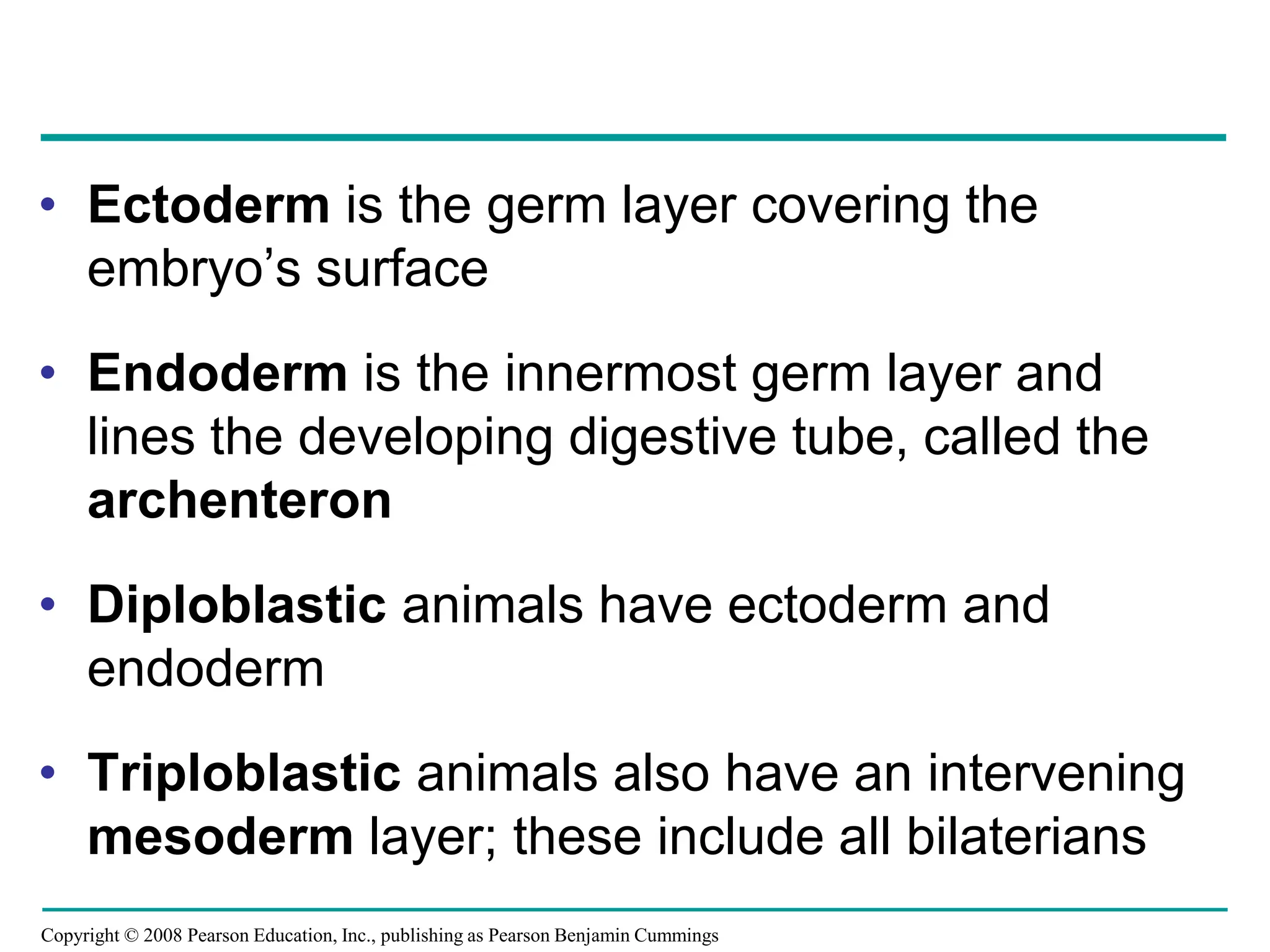 Copyright © 2008 Pearson Education, Inc., publishing as Pearson Benjamin Cummings
• Ectoderm is the germ layer covering the
embryo’s surface
• Endoderm is the innermost germ layer and
lines the developing digestive tube, called the
archenteron
• Diploblastic animals have ectoderm and
endoderm
• Triploblastic animals also have an intervening
mesoderm layer; these include all bilaterians
 