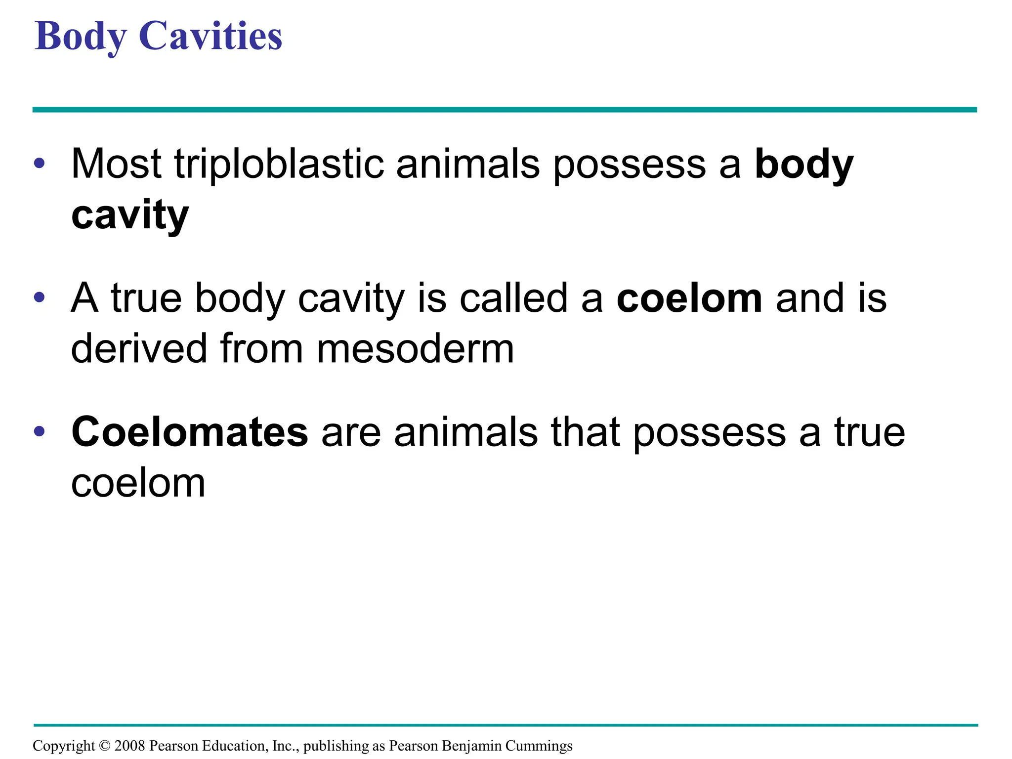 Copyright © 2008 Pearson Education, Inc., publishing as Pearson Benjamin Cummings
Body Cavities
• Most triploblastic animals possess a body
cavity
• A true body cavity is called a coelom and is
derived from mesoderm
• Coelomates are animals that possess a true
coelom
 