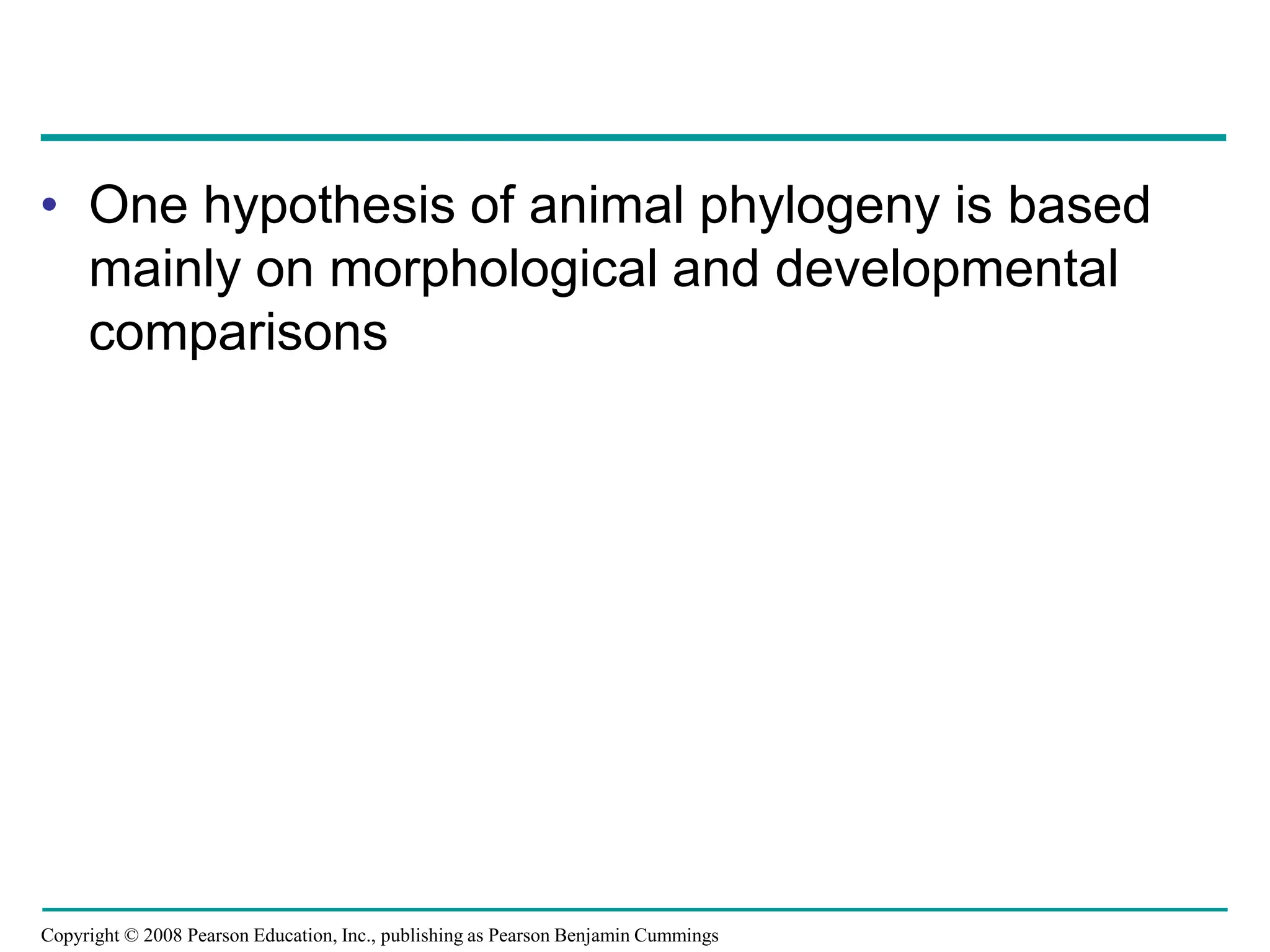 Copyright © 2008 Pearson Education, Inc., publishing as Pearson Benjamin Cummings
• One hypothesis of animal phylogeny is based
mainly on morphological and developmental
comparisons
 