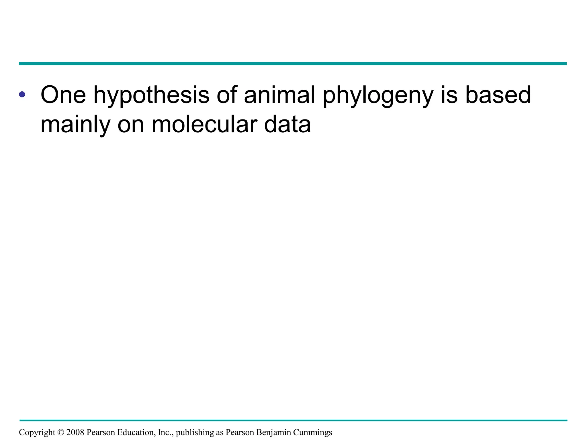 Copyright © 2008 Pearson Education, Inc., publishing as Pearson Benjamin Cummings
• One hypothesis of animal phylogeny is based
mainly on molecular data
 
