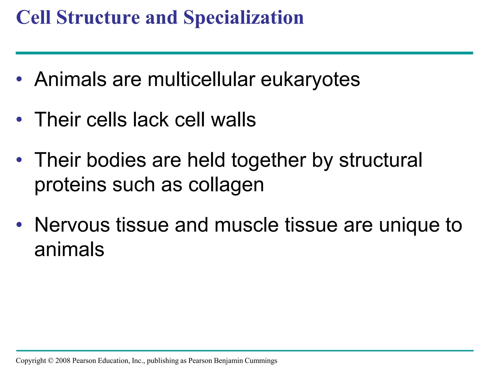 Copyright © 2008 Pearson Education, Inc., publishing as Pearson Benjamin Cummings
Cell Structure and Specialization
• Animals are multicellular eukaryotes
• Their cells lack cell walls
• Their bodies are held together by structural
proteins such as collagen
• Nervous tissue and muscle tissue are unique to
animals
 