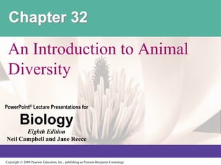 Copyright © 2008 Pearson Education, Inc., publishing as Pearson Benjamin Cummings
PowerPoint® Lecture Presentations for
Biology
Eighth Edition
Neil Campbell and Jane Reece
Chapter 32
An Introduction to Animal
Diversity
 