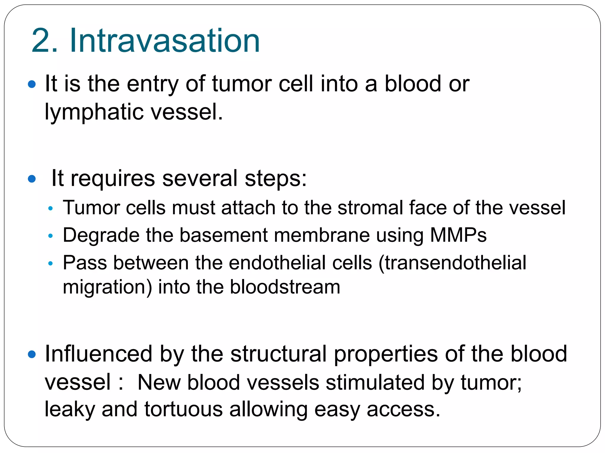 2. Intravasation
 It is the entry of tumor cell into a blood or
lymphatic vessel.
 It requires several steps:
• Tumor cells must attach to the stromal face of the vessel
• Degrade the basement membrane using MMPs
• Pass between the endothelial cells (transendothelial
migration) into the bloodstream
 Influenced by the structural properties of the blood
vessel : New blood vessels stimulated by tumor;
leaky and tortuous allowing easy access.
 