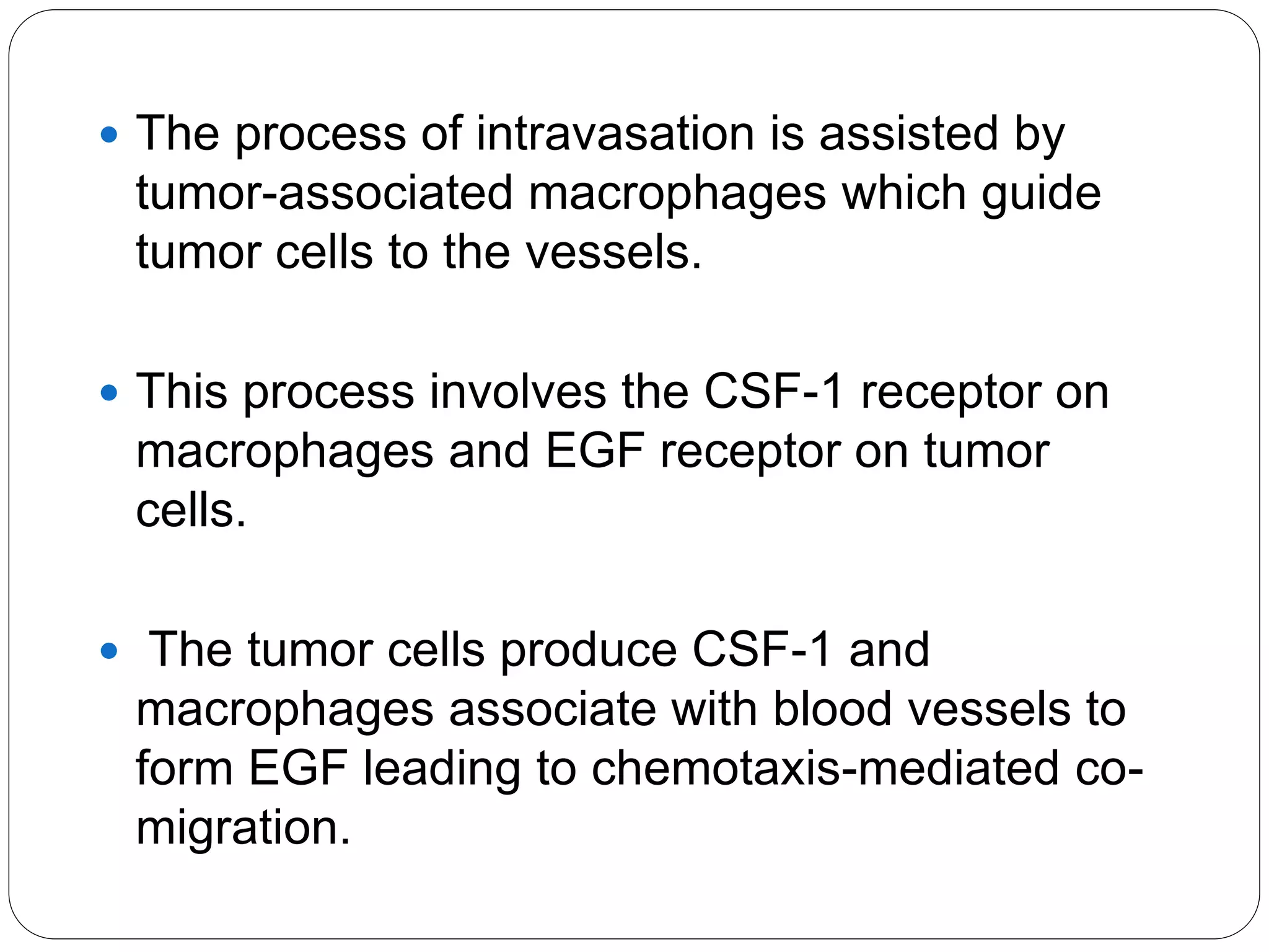  The process of intravasation is assisted by
tumor-associated macrophages which guide
tumor cells to the vessels.
 This process involves the CSF-1 receptor on
macrophages and EGF receptor on tumor
cells.
 The tumor cells produce CSF-1 and
macrophages associate with blood vessels to
form EGF leading to chemotaxis-mediated co-
migration.
 
