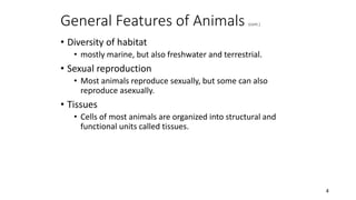 General Features of Animals (cont.)
4
• Diversity of habitat
• mostly marine, but also freshwater and terrestrial.
• Sexual reproduction
• Most animals reproduce sexually, but some can also
reproduce asexually.
• Tissues
• Cells of most animals are organized into structural and
functional units called tissues.
 