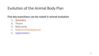 Evolution of the Animal Body Plan
Five key transitions can be noted in animal evolution
1. Symmetry
2. Tissues
3. Body cavity
4. Patterns of Development
5. Segmentation
7
 