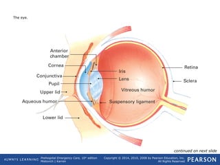 Prehospital Emergency Care, 10th
edition
Mistovich | Karren
Copyright © 2014, 2010, 2008 by Pearson Education, Inc.
All Rights Reserved
The eye.
continued on next slide
 