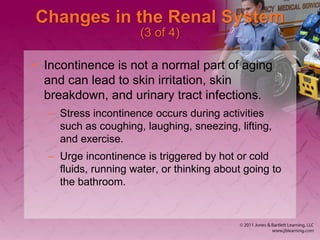 Changes in the Renal System
(3 of 4)
• Incontinence is not a normal part of aging
and can lead to skin irritation, skin
breakdown, and urinary tract infections.
– Stress incontinence occurs during activities
such as coughing, laughing, sneezing, lifting,
and exercise.
– Urge incontinence is triggered by hot or cold
fluids, running water, or thinking about going to
the bathroom.
 