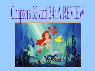 Chapters 33 and 34: A REVIEW 