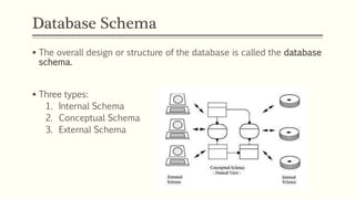 Schema Entity Entity Relationship Modelling | PPTX