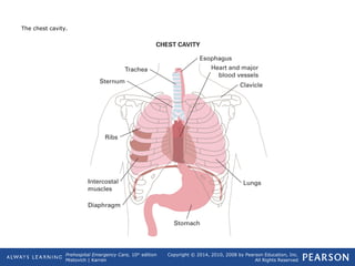 Prehospital Emergency Care, 10th
edition
Mistovich | Karren
Copyright © 2014, 2010, 2008 by Pearson Education, Inc.
All Rights Reserved
The chest cavity.
 