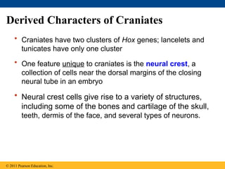 chapter 34 (1).ppt persiapna olimpiade biologi | PPT